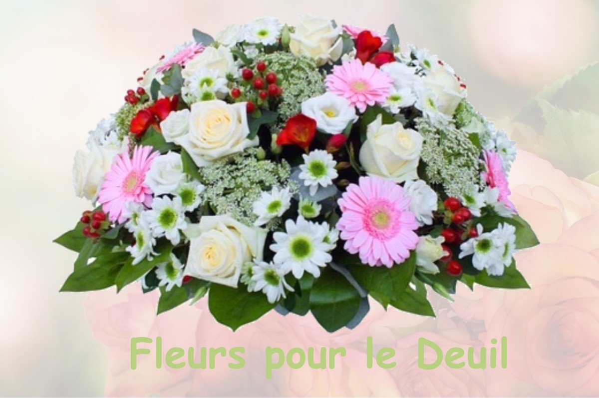 fleurs deuil SAINT-GEORGES-SUR-ALLIER